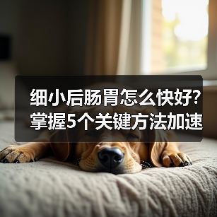 细小后肠胃怎么快好？掌握5个关键方法加速康复（图1）