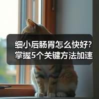 细小后肠胃怎么快好？掌握5个关键方法加速康复（图4）