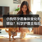 小狗怀孕后身体变化有哪些？科学护理全指南（图1）