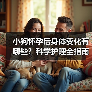小狗怀孕后身体变化有哪些？科学护理全指南（图3）