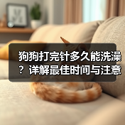 狗狗打完针多久能洗澡？详解最佳时间与注意事项（图1）