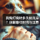 狗狗打完针多久能洗澡？详解最佳时间与注意事项（图4）