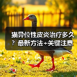 猫异位性皮炎治疗多久？最新方法+关键注意事项全解析（图3）