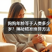 狗狗年龄等于人类多少岁？揭秘精准换算方法（图3）