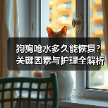 狗狗呛水多久能恢复？关键因素与护理全解析（图2）