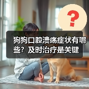 狗狗口腔溃疡症状有哪些？及时治疗是关键（图4）