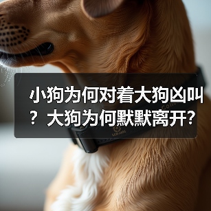 小狗为何对着大狗凶叫？大狗为何默默离开？（图1）