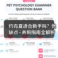 约克夏适合新手吗？优缺点+养狗指南全解析（图2）