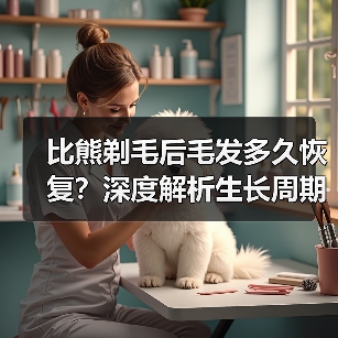 比熊剃毛后毛发多久恢复？深度解析生长周期（图1）