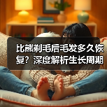 比熊剃毛后毛发多久恢复？深度解析生长周期（图3）