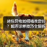 脓包异物如何精准定位？超声诊断技巧全解析（图2）