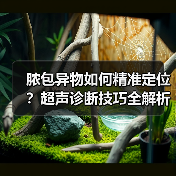 脓包异物如何精准定位？超声诊断技巧全解析（图4）