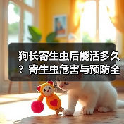 狗长寄生虫后能活多久？寄生虫危害与预防全解析（图2）
