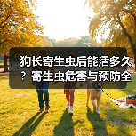 狗长寄生虫后能活多久？寄生虫危害与预防全解析（图1）