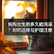 狗狗出生后多久能洗澡？时间选择与护理注意事项（图3）