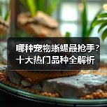哪种宠物蜥蜴最抢手？十大热门品种全解析（图2）