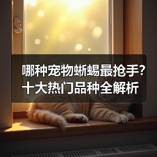 哪种宠物蜥蜴最抢手？十大热门品种全解析（图4）