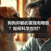 狗狗抑郁的表现有哪些？如何科学应对？（图4）