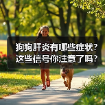 狗狗肝炎有哪些症状？这些信号你注意了吗？（图1）