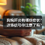 狗狗肝炎有哪些症状？这些信号你注意了吗？（图3）