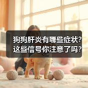 狗狗肝炎有哪些症状？这些信号你注意了吗？（图4）
