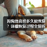 狗狗绝育后多久能恢复？详细恢复过程全解析（图1）