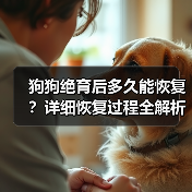 狗狗绝育后多久能恢复？详细恢复过程全解析（图3）