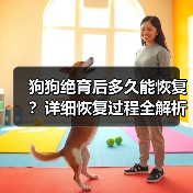 狗狗绝育后多久能恢复？详细恢复过程全解析（图4）