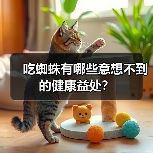 吃蜘蛛有哪些意想不到的健康益处？（图1）
