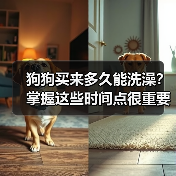 狗狗买来多久能洗澡？掌握这些时间点很重要！（图3）