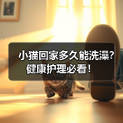 小猫回家多久能洗澡？健康护理必看！（图2）