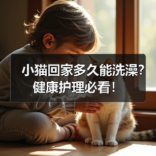 小猫回家多久能洗澡？健康护理必看！（图3）