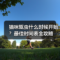 猫咪驱虫什么时候开始？最佳时间表全攻略（图3）