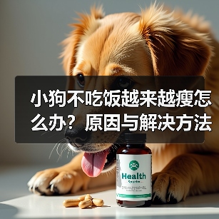 小狗拒食瘦弱怎么办？5个原因及科学解决办法