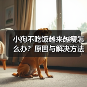 小狗不吃饭越来越瘦怎么办？原因与解决方法全解析（图3）