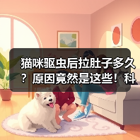 猫咪驱虫后拉肚子多久？原因竟然是这些！科学解析（图1）