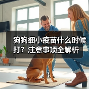 狗狗细小疫苗什么时候打？注意事项全解析（图2）