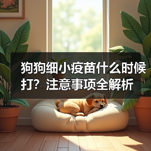 狗狗细小疫苗什么时候打？注意事项全解析（图3）