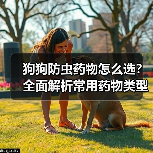 狗狗防虫药物怎么选?全面解析常用药物类型与注意事项(图1) 狗狗防虫药物怎么选?全面解析常用药物类型与注意事项(图1)