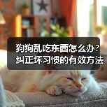 狗狗乱吃东西怎么办？纠正坏习惯的有效方法（图2）