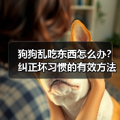 狗狗乱吃东西怎么办？纠正坏习惯的有效方法（图3）