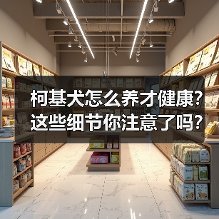 柯基犬怎么养才健康？这些细节你注意了吗？（图2）