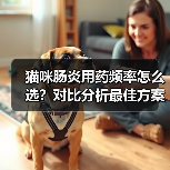 猫咪肠炎用药频率怎么选？对比分析最佳方案（图2）