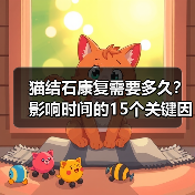 猫结石康复需要多久？影响时间的15个关键因素（图3）