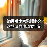 满月后小奶狗睡多久？这些注意事项要牢记（图2）