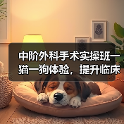 中阶外科手术实操班一猫一狗体验，提升临床技能！（图3）