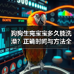 狗狗生完宝宝后如何正确洗澡？关键时间与方法解析
