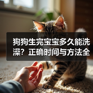 狗狗生完宝宝多久能洗澡？正确时间与方法全解析（图3）
