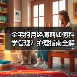 金毛狗月经周期如何科学管理？护理指南全解析（图4）