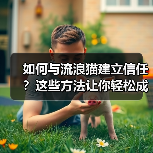 如何与流浪猫建立信任？这些方法让你轻松成为它们朋友（图3）